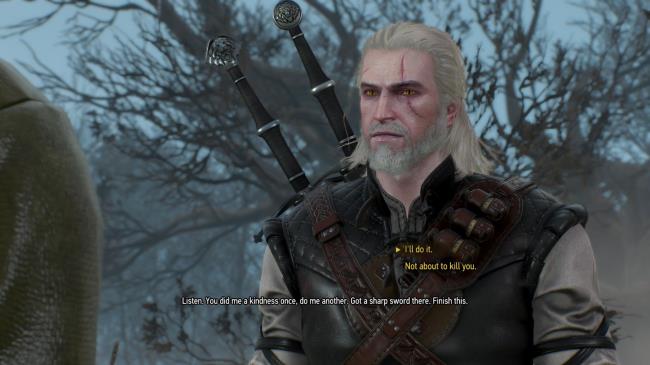 A screenshot of The Witcher 3's dialogue menu with two choices displayed.