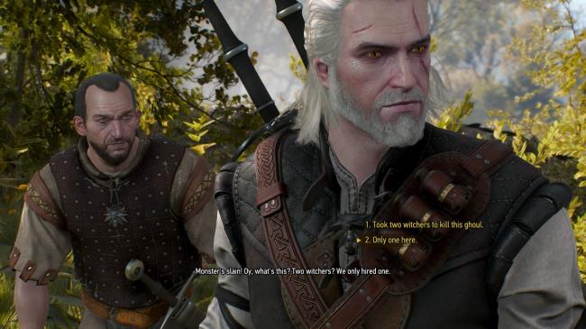 A screenshot of The Witcher 3's dialogue menu, with two options available for selection.